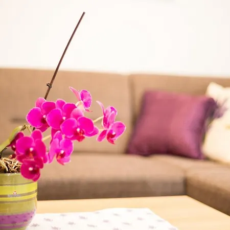 Apartment Meri