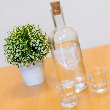 Apartament Meri *